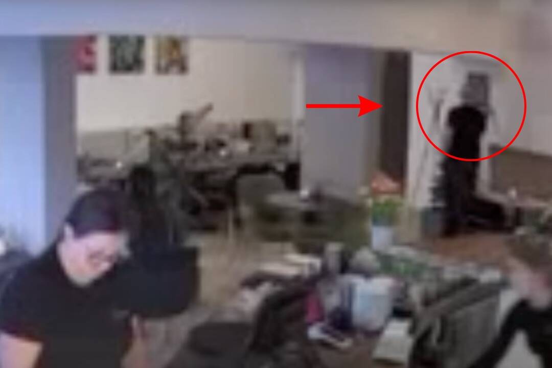 VIDEO: Krádež obrazu košickým dekanom umení zachytili kamery. Z jeho vysvetlenia sú majitelia kaviarne zhrození