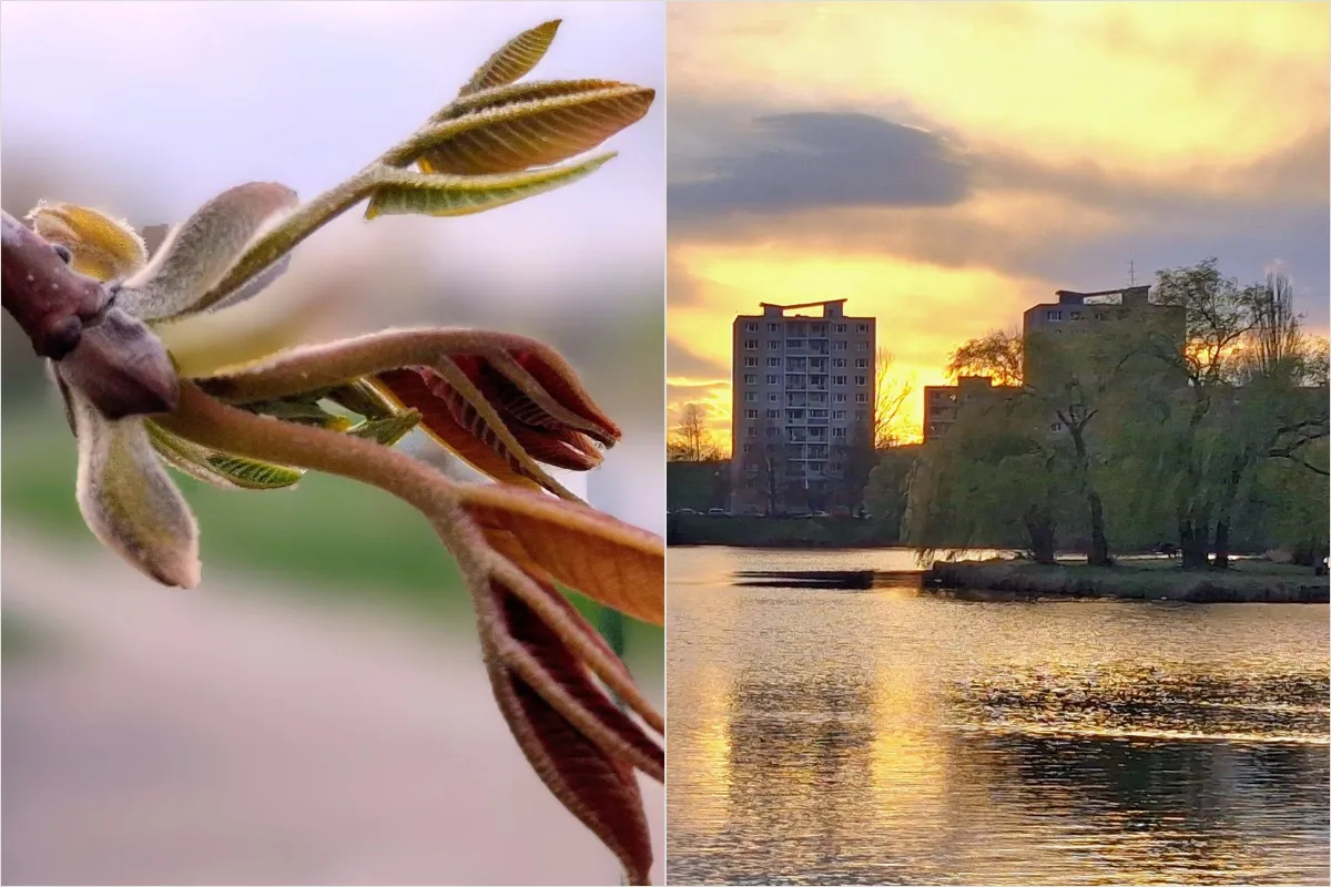 FOTO: Pri košickom jazere to počas jarných dní vyzerá ako z rozprávky, pozrite sa na krásne zábery od pani Hany 