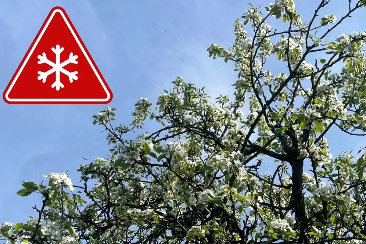 Ste z Košického kraja? Meteorológovia upozorňujú na mrazivú noc, bez kabáta a teplého svetra z domu ani neodchádzajte