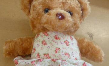 FOTO: Na košickú poštu dorazil plyšový medvedík z Thajska. Ukrýval v sebe ohrozené rastliny