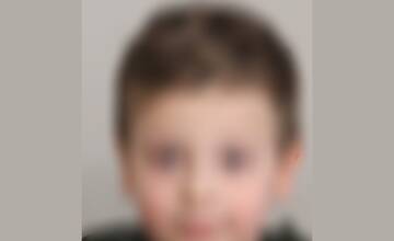 Sedemročného chlapca, ktorý sa stratil v okolí Košíc, sa podarilo úspešne vypátrať