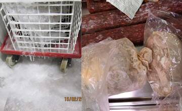 FOTO: Pleseň, exkrementy či prekročená záruka. Potravinoví inšpektori odhalili stovky nedostatkov na prevádzkach