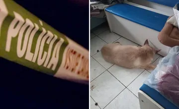 V byte na Moldavskej našli mŕtvu ženu, susedia ju už dlhšie nevideli. Podarilo sa zachrániť aspoň jej psíka