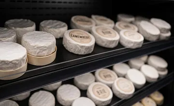 Francúzsko sťahuje camembert, brie a ďalšie syry. Nebezpečná baktéria už zabila dvoch obyvateľov, ďalší ochoreli