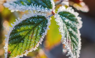 Na východe sa prebudíme do mrazivého rána, na mínusové teploty vám mikina stačiť nebude