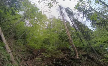 Turistický chodník pri Dedinkách dočasne uzavreli, pília tam rizikové stromy