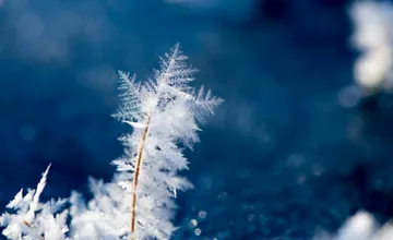 FOTO: Začiatok týždňa prinesie do Košického kraja mráz, ráno sa poriadne oblečte. Teplota môže padnúť na -19 stupňov