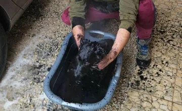 FOTO: Rožňavskí hasiči zachránili život šteniatku, ktoré spadlo do nádrže s kalom. Zásah komplikoval úzky otvor 