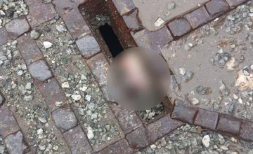 FOTO: Košičan pri prechádzke uvidel niečo, čo pobavilo celé mesto, susedia nešetria humornými poznámkami 