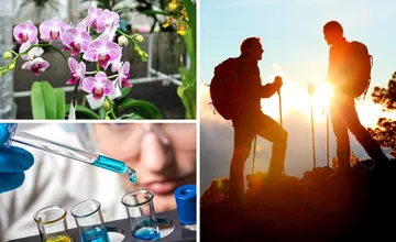 VIDEO: Víkend už netrpezlivo klope na dvere v Košickom kraji, zabavíte sa na koncerte, túre alebo na výstave orchideí?