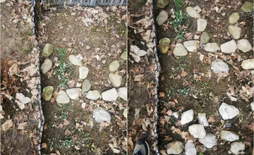 S jarným počasím dorazil do Košíc aj kvetinový fantóm. Ulakomil sa na snežienky aj skalné ruže, kradne sa na objednávku?