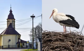 FOTO: Na východe vidieť prvé bociany, v ktorých kútoch Košického kraja sa uhniezdili?