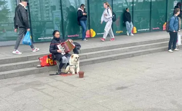 Pozorným Košičanom neunikli pouliční umelci pri Auparku, pri sebe majú opäť sediacich psíkov. Čo na to Sloboda zvierat?