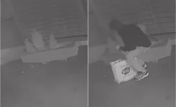 VIDEO: Na Jazere spred podniku ukradol kvetinový fantóm mladé stromčeky. Okradnutá pestovateľka Zuzana neskrýva smútok