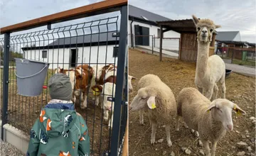 VIDEO: Aký je život na skutočnej biofarme? V novom areáli neďaleko Košíc si nadojíte kravu aj vyrobíte vlastné hračky