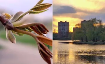 FOTO: Pri košickom jazere to počas jarných dní vyzerá ako z rozprávky, pozrite sa na krásne zábery od pani Hany 