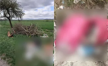 FOTO: Tak toto je sila! Cestár Majo pozdravuje vodičov a podelil sa s nechutným nálezom pri cestách na dolnom Zemplíne