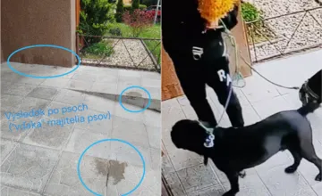 Košický poslanec Fedoročko rozprúdil diskusiu o nezodpovedných psíčkaroch. Aj vy si nosíte smradľavé darčeky až domov?