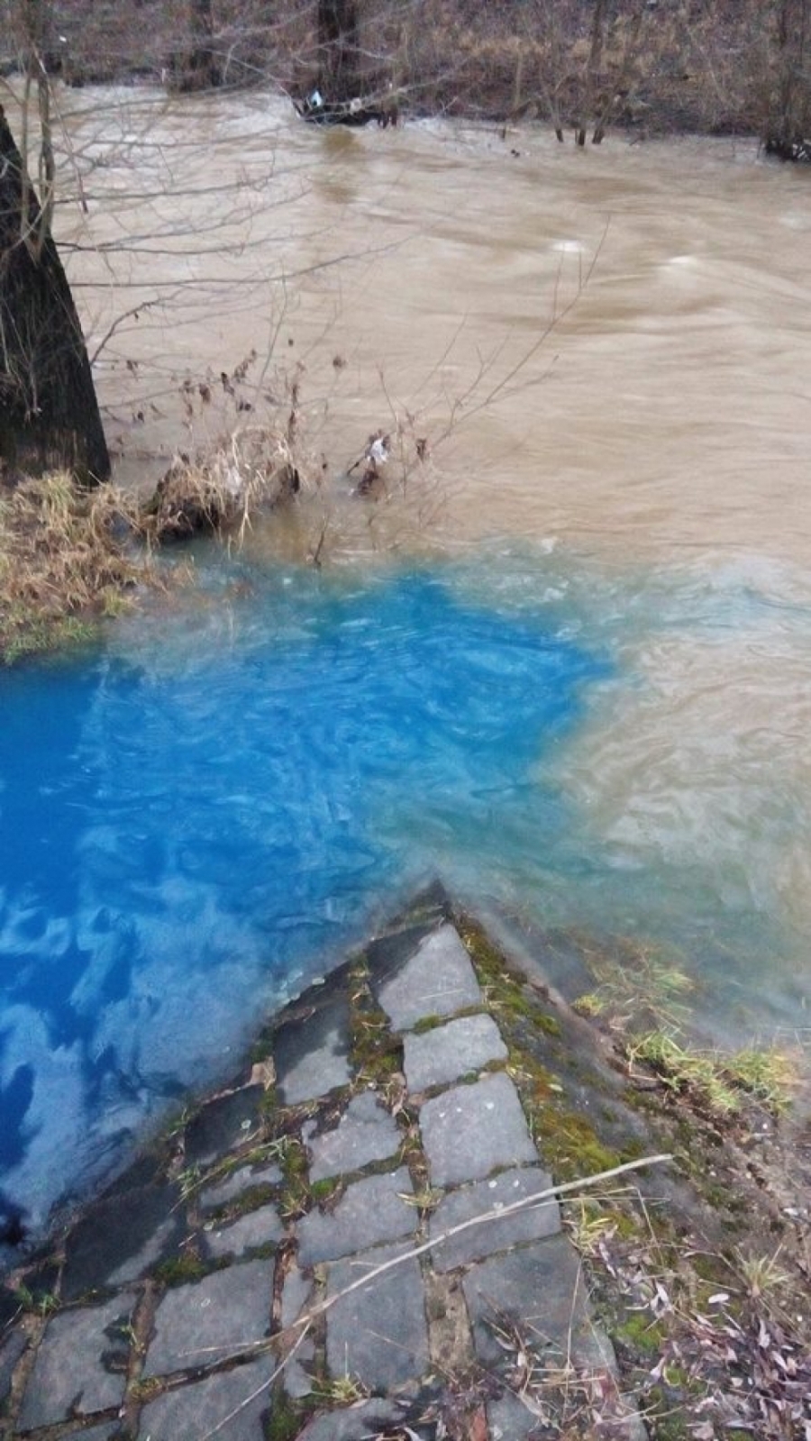Do rieky Slaná v Rožňave vytekala modrá tekutina, foto 2