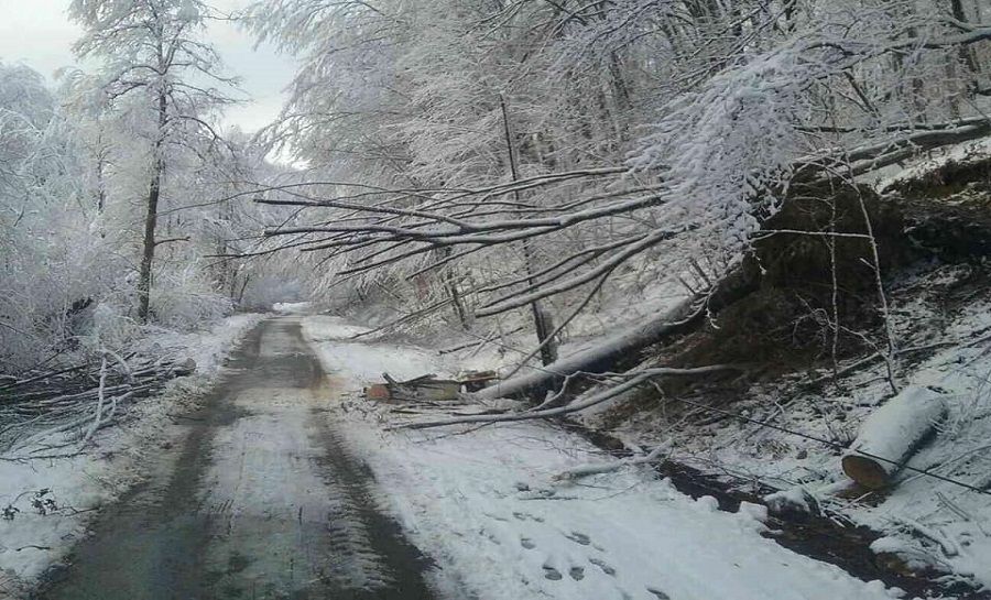 Sneženie na východnom Slovensku cez víkend, foto 2