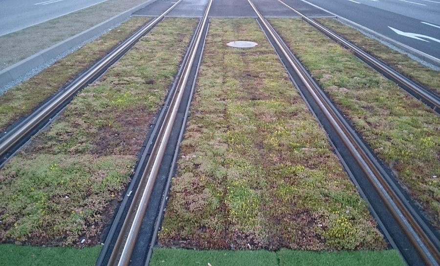 Košičan jazdil autom po novej tráve na električkovej trati, foto 1