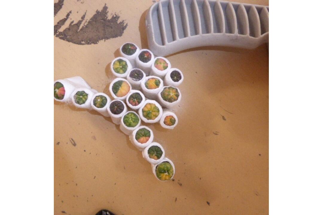 FOTO: Plyšová hračka z Thajska s prekvapením, foto 1