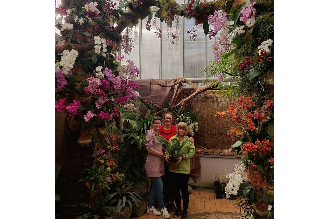 FOTO: Výstava orchideí v košickej Botanickej záhrade, foto 17