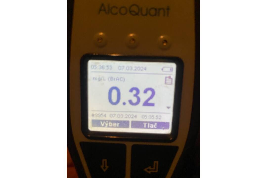 FOTO: Policajné kontroly vo Veľkých Kapušanoch a Gelnici, foto 6