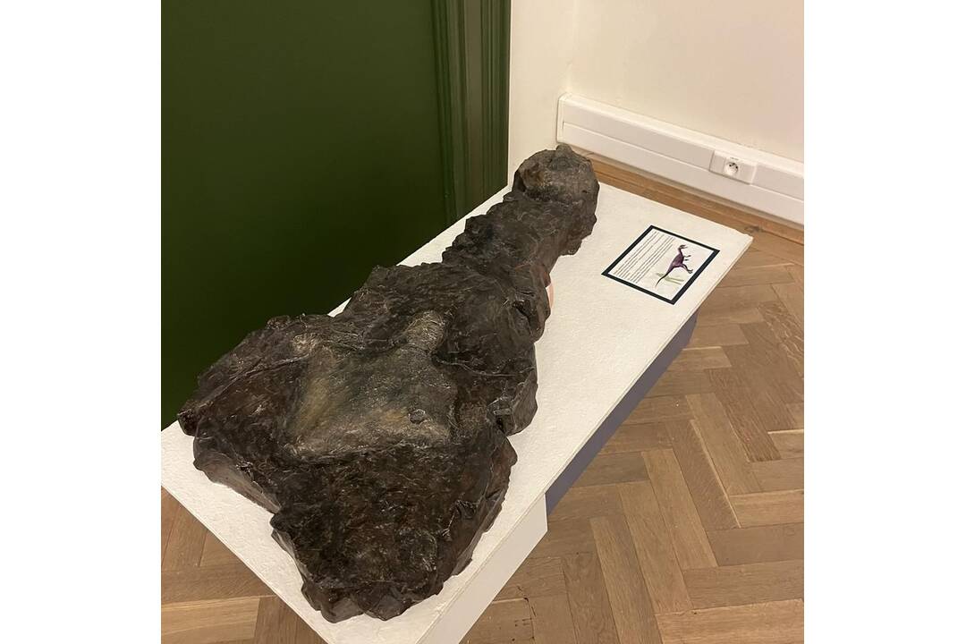 FOTO: Odliatky nálezu stôp dinosaurov na Slovensku, foto 1