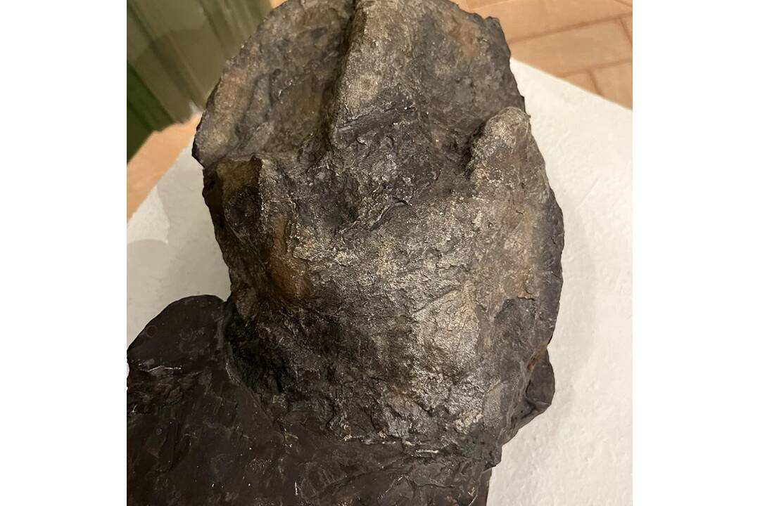 FOTO: Odliatky nálezu stôp dinosaurov na Slovensku, foto 2