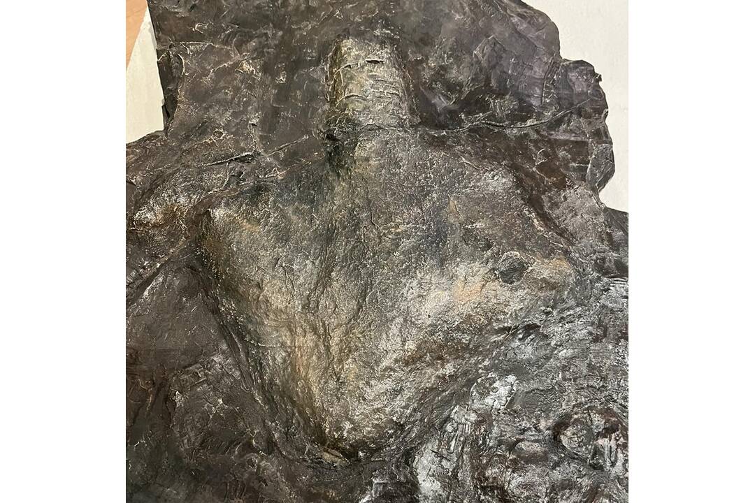 FOTO: Odliatky nálezu stôp dinosaurov na Slovensku, foto 3