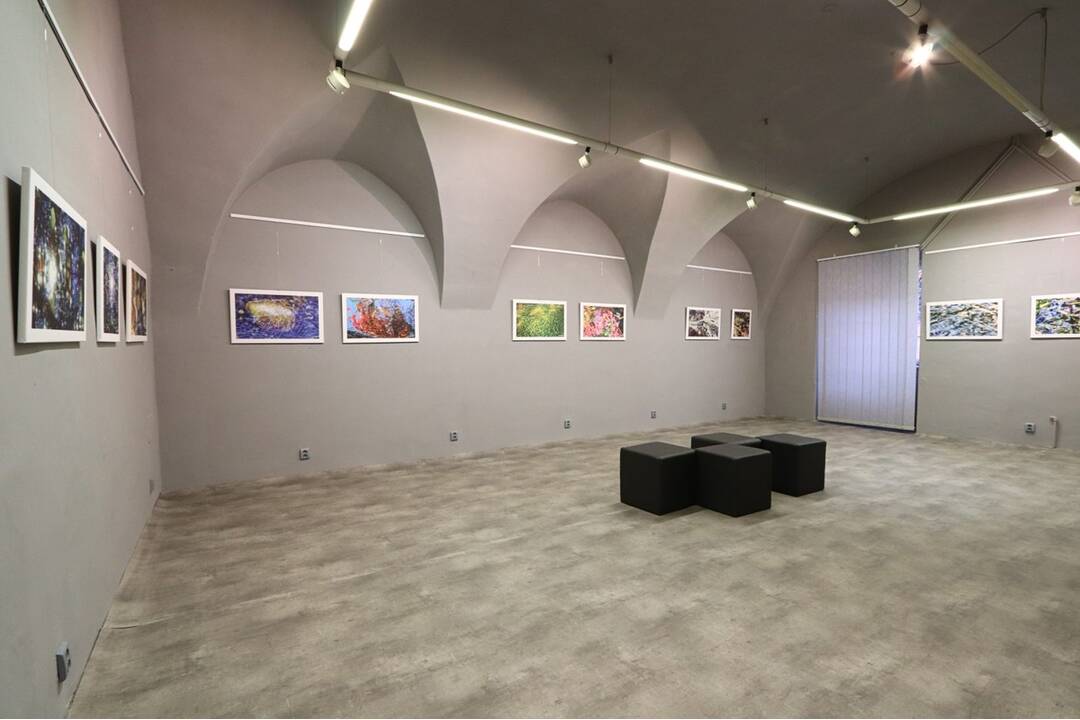 FOTO: Výstava Rudolfa Schustera Maľované mobilom, foto 2