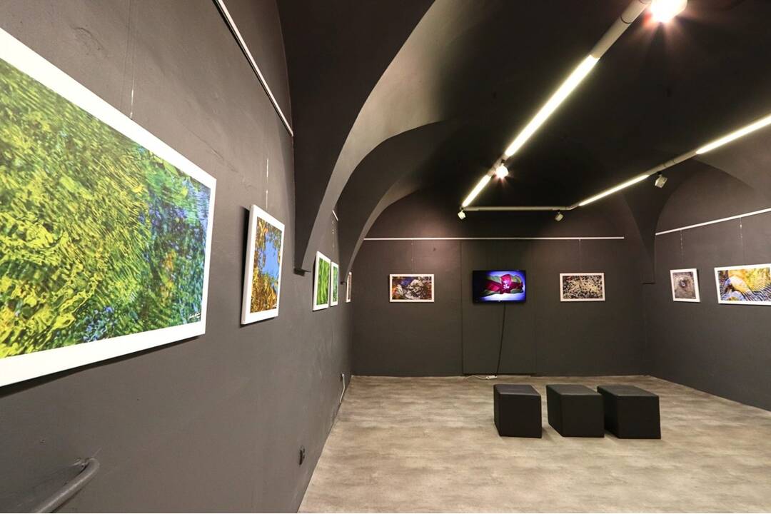 FOTO: Výstava Rudolfa Schustera Maľované mobilom, foto 3