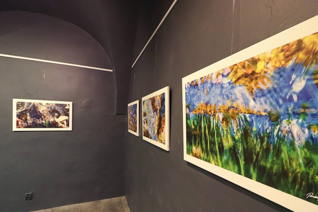 FOTO: Výstava Rudolfa Schustera Maľované mobilom, foto 6