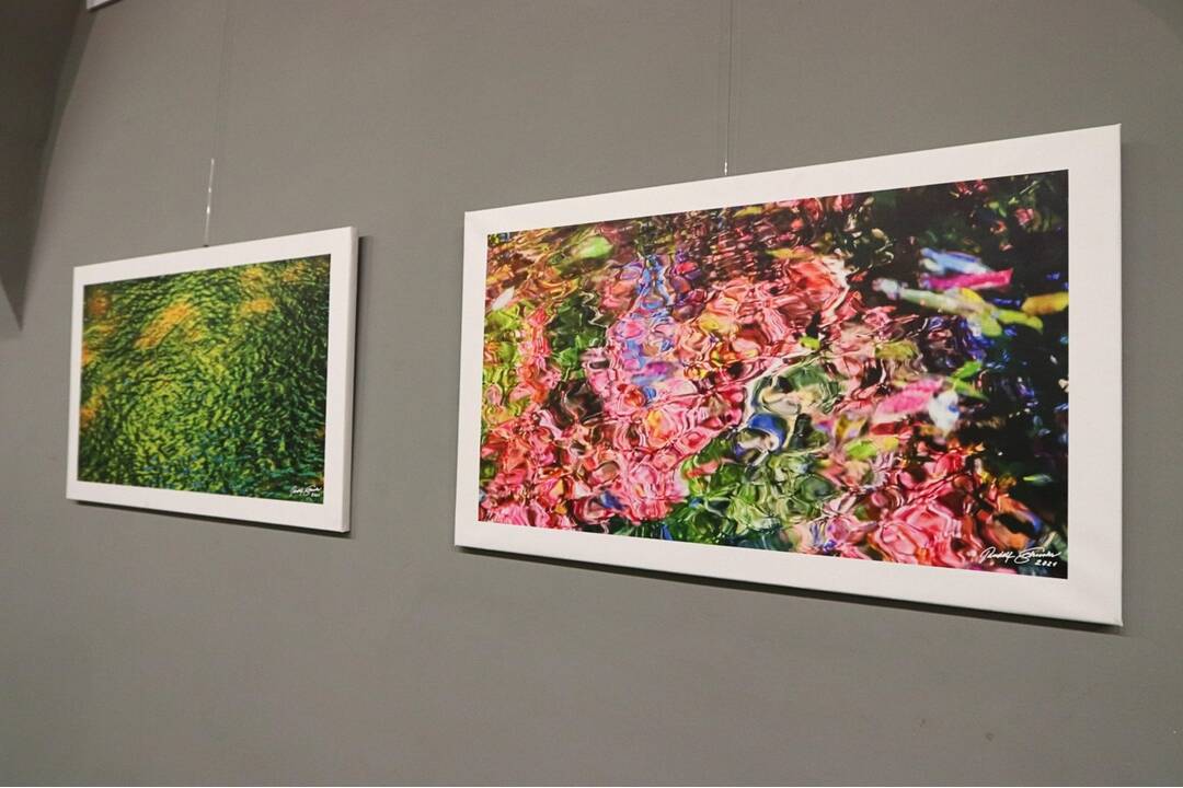 FOTO: Výstava Rudolfa Schustera Maľované mobilom, foto 4