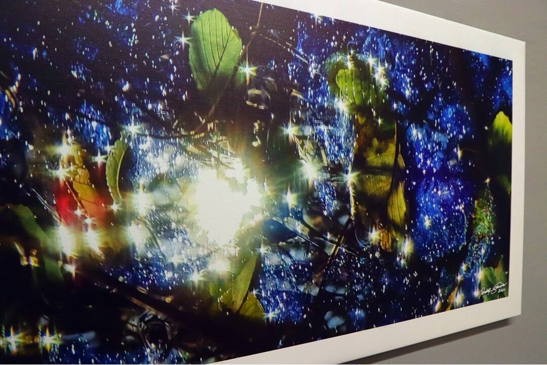 FOTO: Výstava Rudolfa Schustera Maľované mobilom, foto 5