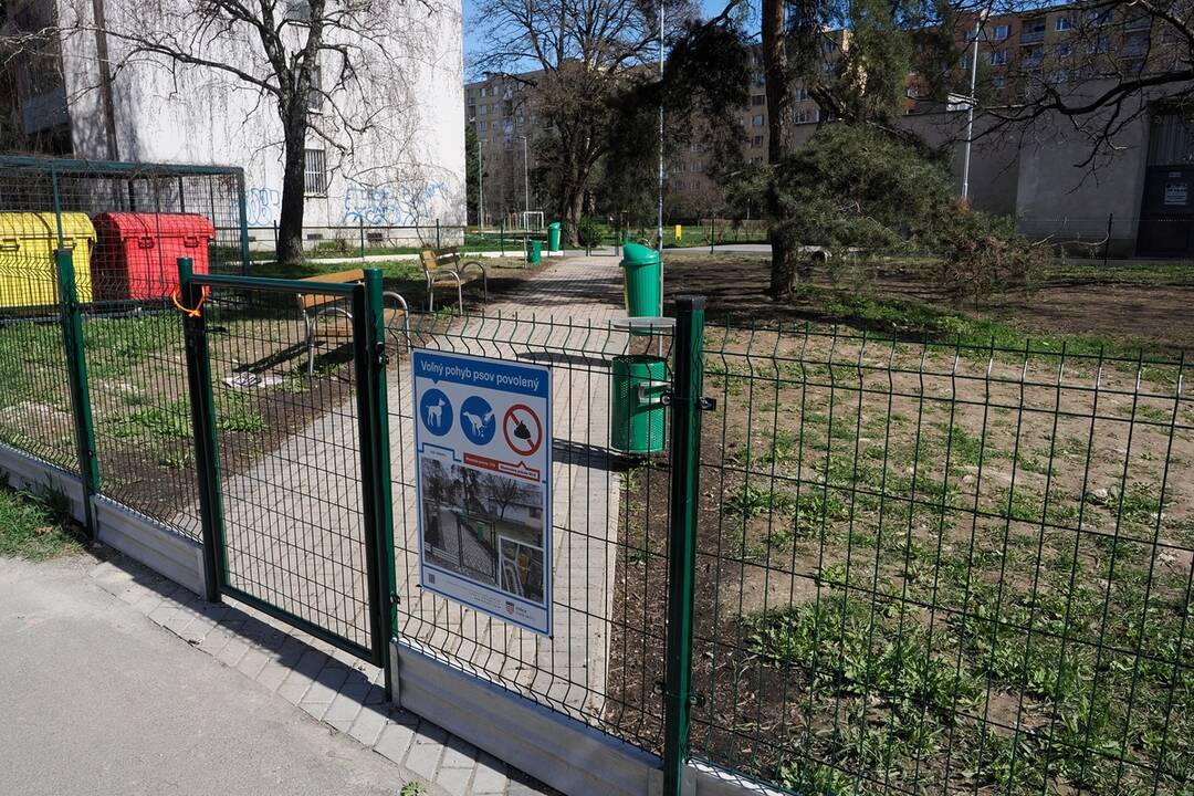 FOTO: Revitalizácia vnútroblokov v Starom Meste, foto 3