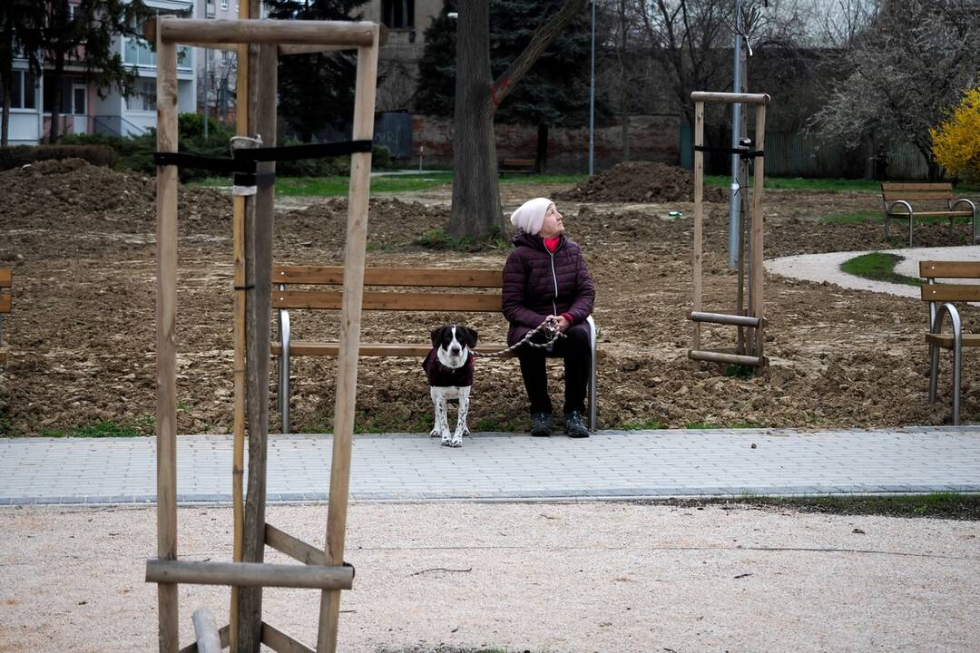 FOTO: Revitalizácia vnútroblokov v Starom Meste, foto 7