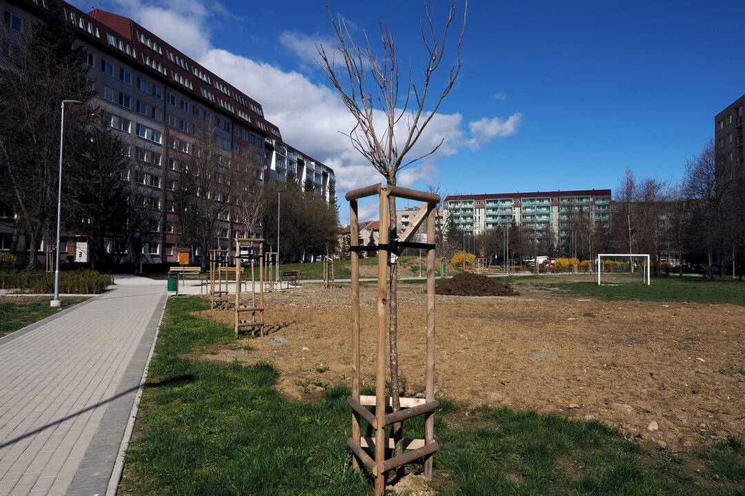 FOTO: Revitalizácia vnútroblokov v Starom Meste, foto 9