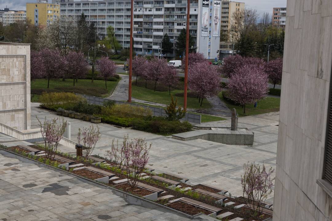 FOTO: Košický magistrát sa zmenil na zelenú oázu, foto 1