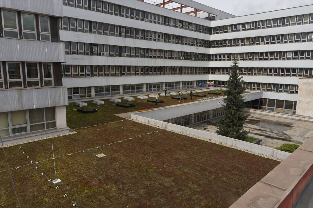 FOTO: Košický magistrát sa zmenil na zelenú oázu, foto 2