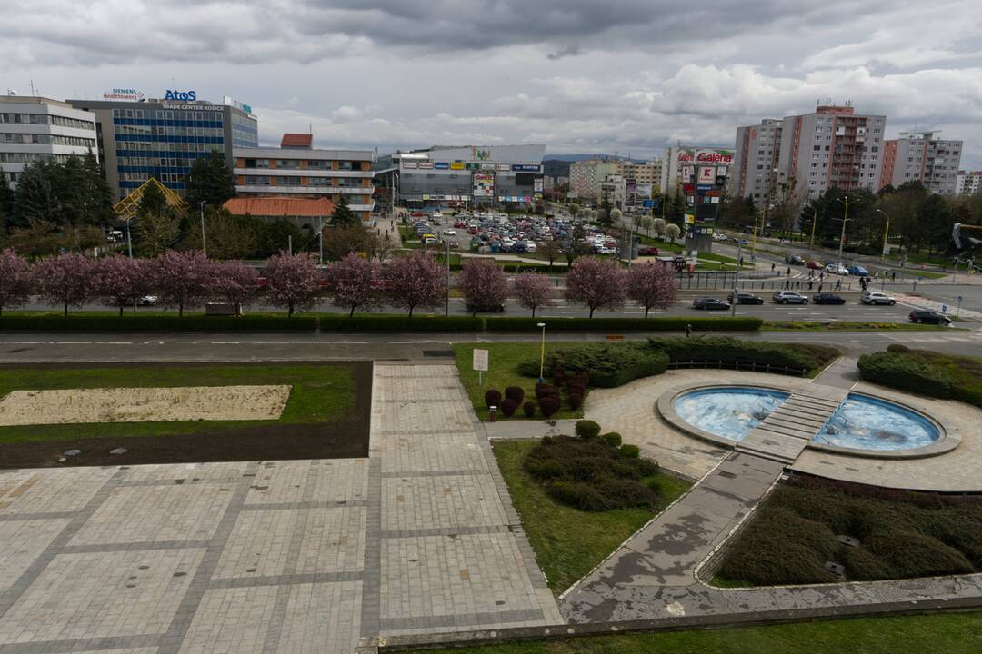 FOTO: Košický magistrát sa zmenil na zelenú oázu, foto 3