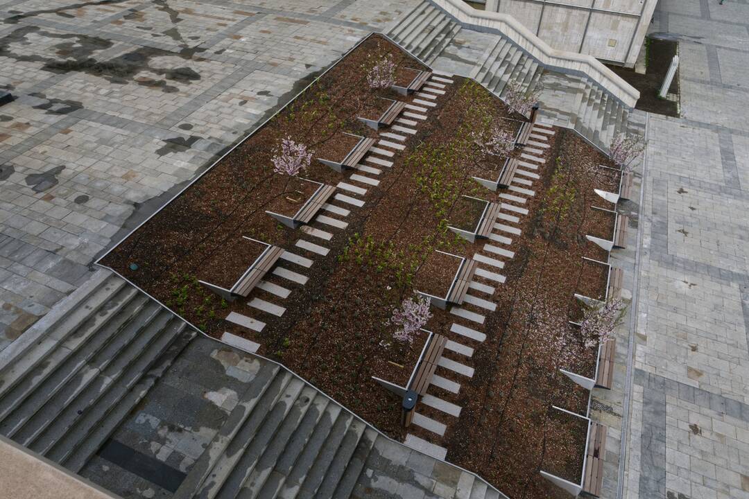 FOTO: Košický magistrát sa zmenil na zelenú oázu, foto 4