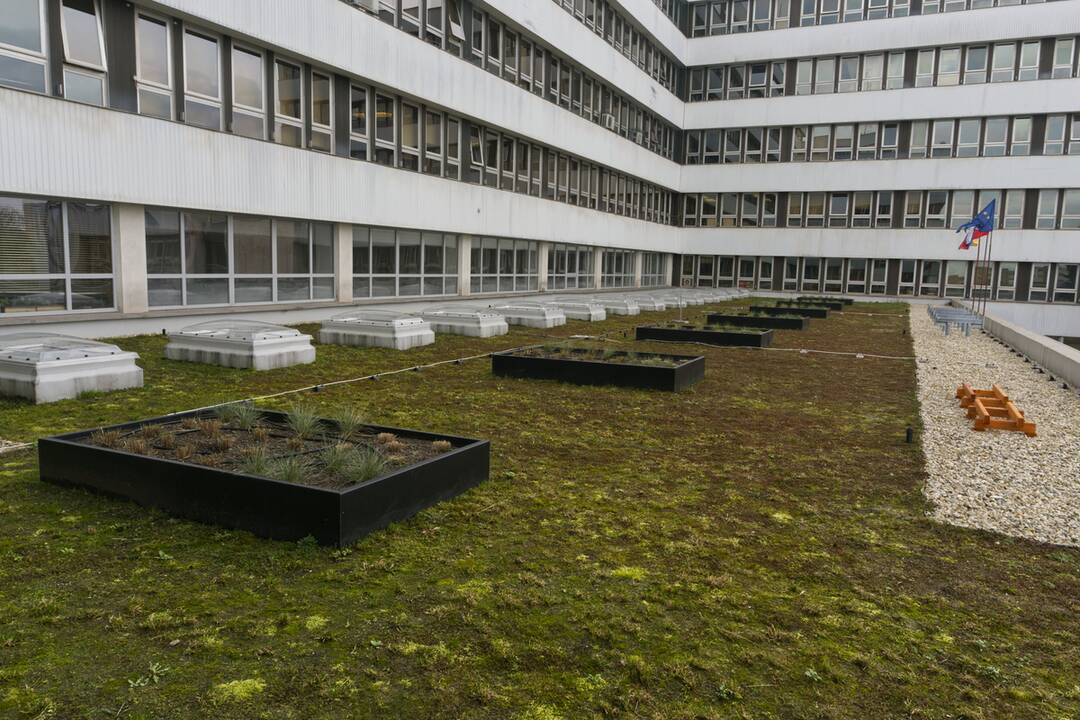 FOTO: Košický magistrát sa zmenil na zelenú oázu, foto 5