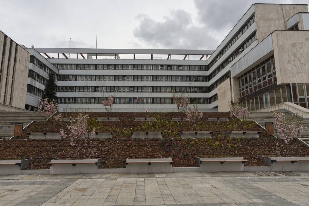 FOTO: Košický magistrát sa zmenil na zelenú oázu, foto 7