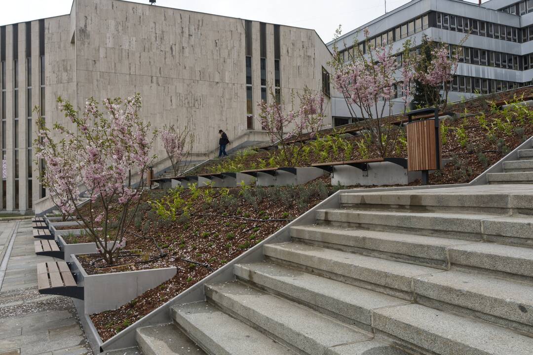 FOTO: Košický magistrát sa zmenil na zelenú oázu, foto 8
