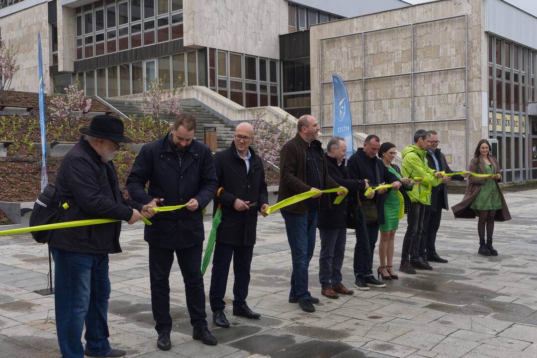 FOTO: Košický magistrát sa zmenil na zelenú oázu, foto 11