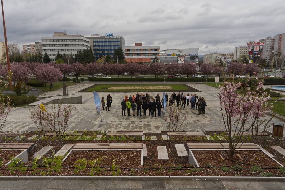 FOTO: Košický magistrát sa zmenil na zelenú oázu, foto 12