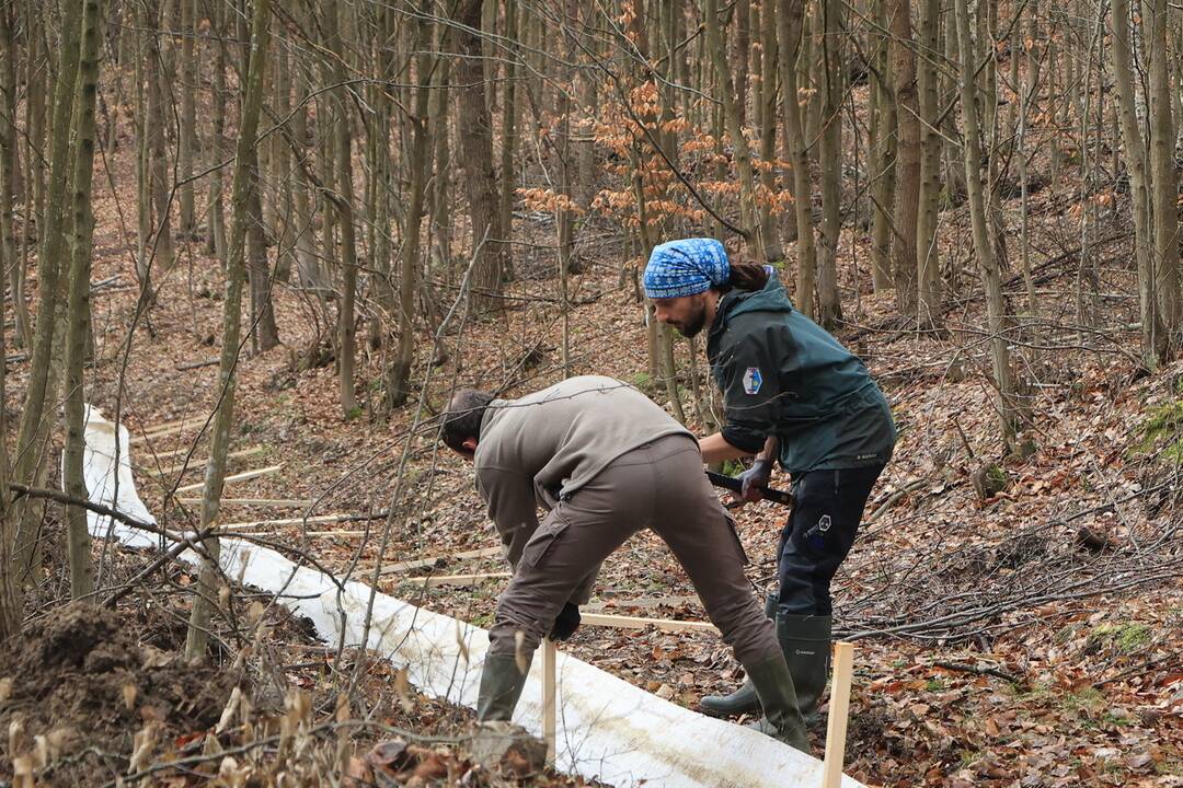 FOTO: Budovanie zábran v Slovenskom raji kvôli migrácii žiab, foto 1