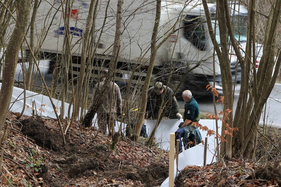 FOTO: Budovanie zábran v Slovenskom raji kvôli migrácii žiab, foto 3
